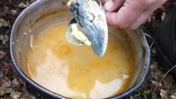 Fischsuppe im Sinne des Zeltangelns — Stockvideo