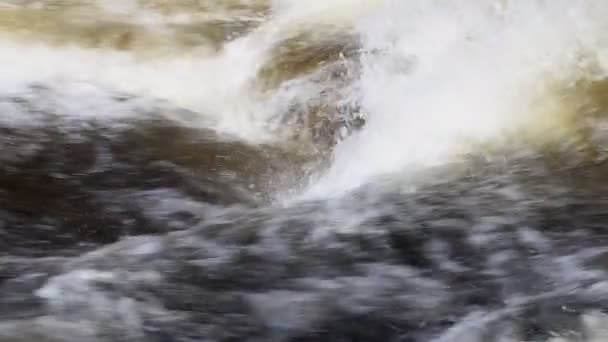 Сила води - весняний потік — стокове відео