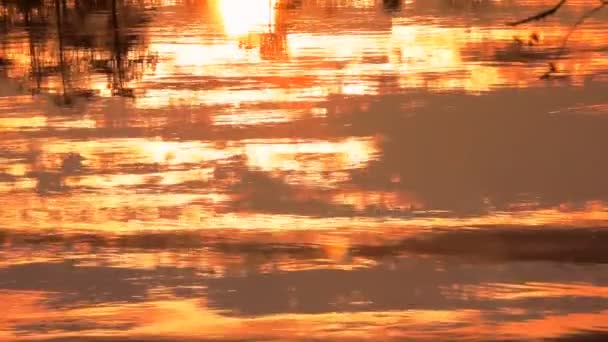 Solnedgång i floden: målning i stil med Fauvism — Stockvideo