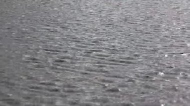 Işık su monotonluğu