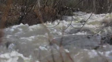 Bahar hızlı Nehri