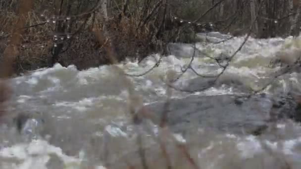 在春天条湍急的河流 — 图库视频影像