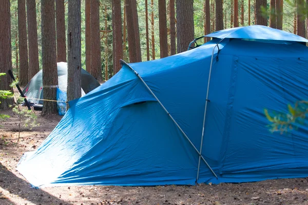 Camping utomhus med tält i skogen på sommaren — Stockfoto