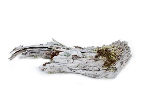 Wood is very old on white background — Stock Photo, Image