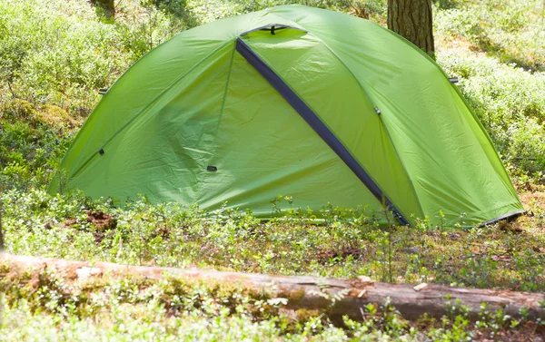 Camping utomhus med tält i skogen på sommaren — Stockfoto