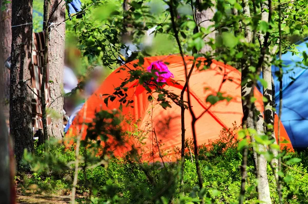 Camping ao ar livre com tenda em bosques no verão — Fotografia de Stock