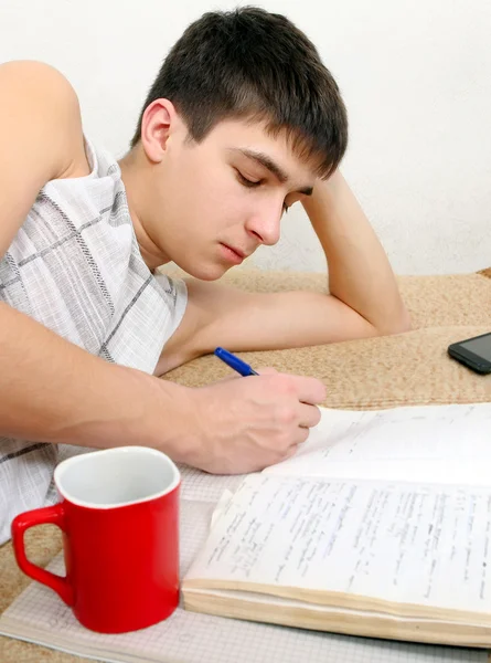 Teenager dělá domácí úkoly — Stock fotografie