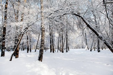 Güneşli bir günde Kış Manzarası