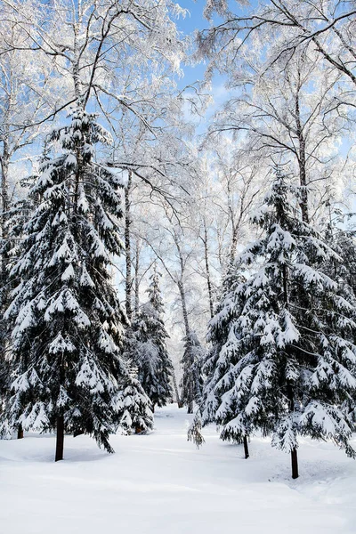 Die Winterlandschaft Sonnigen Tag — Stockfoto