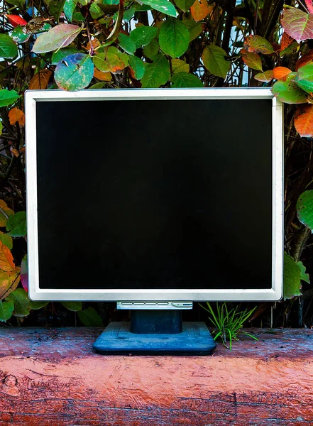 Oude Computer Monitor Bladeren Achtergrond — Stockfoto