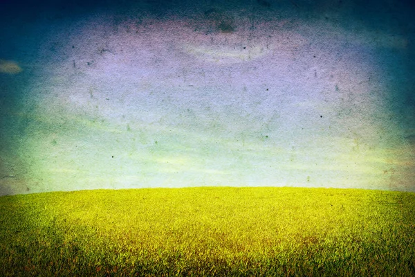 Stare Brudne Zdjęcie Summer Field Blue Sky — Zdjęcie stockowe