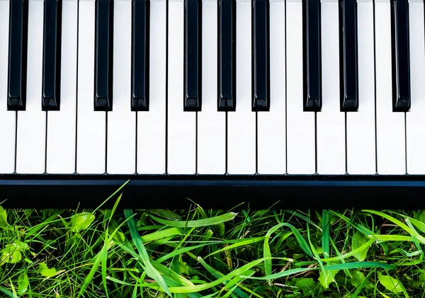 Teclado Piano Grama Verde Com Uma Luz Solar — Fotografia de Stock