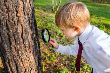 Kid with a Magnifying Glass looking on the Insect on the Tree clipart