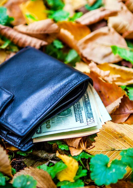 Verloren Portemonnee Met Geld Herfstbladeren Close — Stockfoto