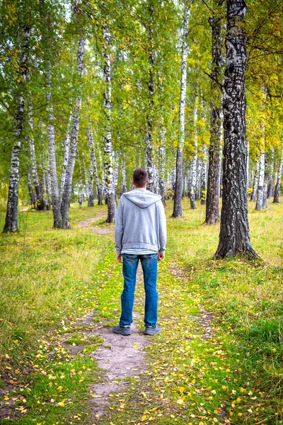 Achteraanzicht Van Een Jonge Man Het Bos Alleen — Stockfoto