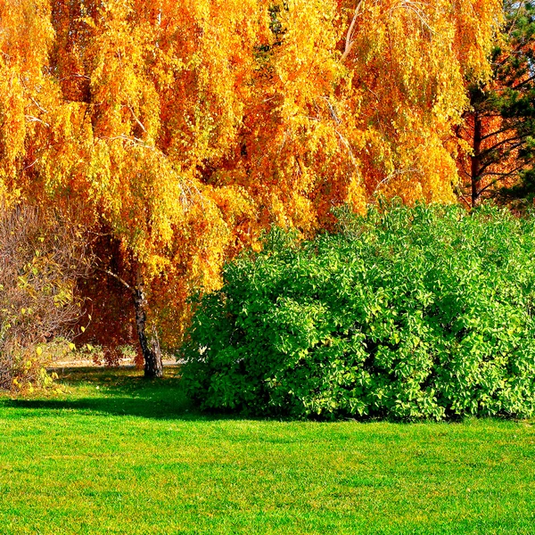 Herbstliche Landschaft — Stockfoto