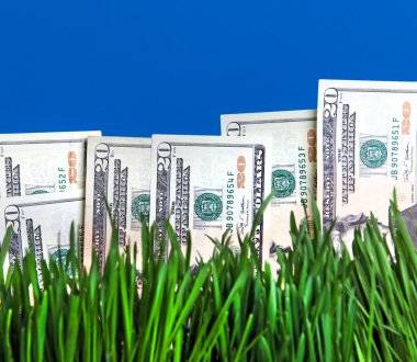 Dollars in the Grass clipart
