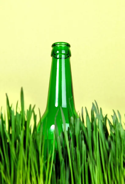 Flasche im Gras — Stockfoto