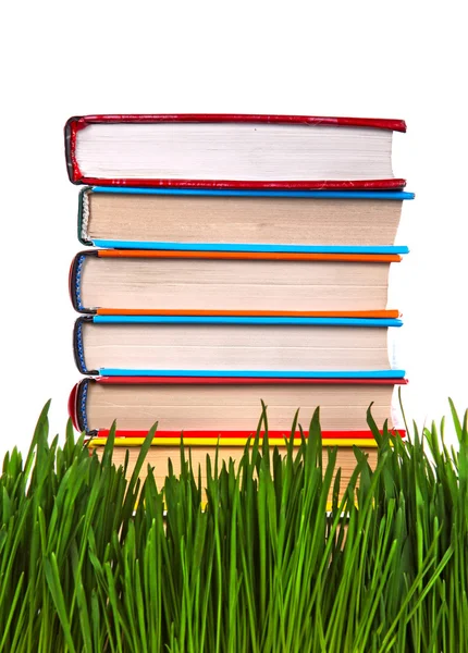 Books in the Grass — Stock Photo, Image