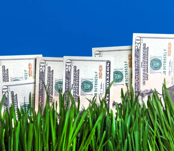 Dollars in the Grass — Stock Photo, Image