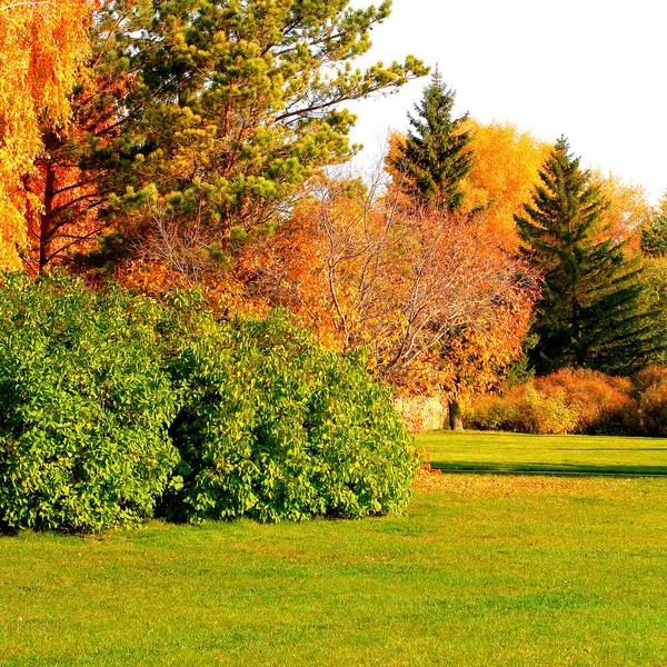 Herbstliche Landschaft — Stockfoto