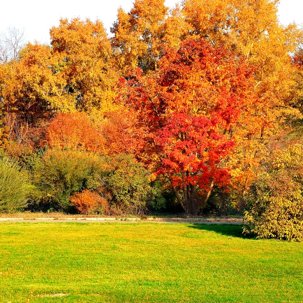 Paysage d'automne — Photo