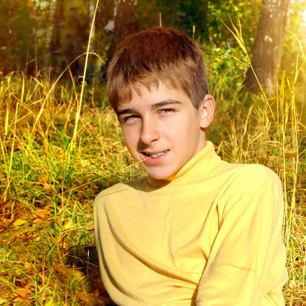 Adolescente en el parque de otoño — Foto de Stock