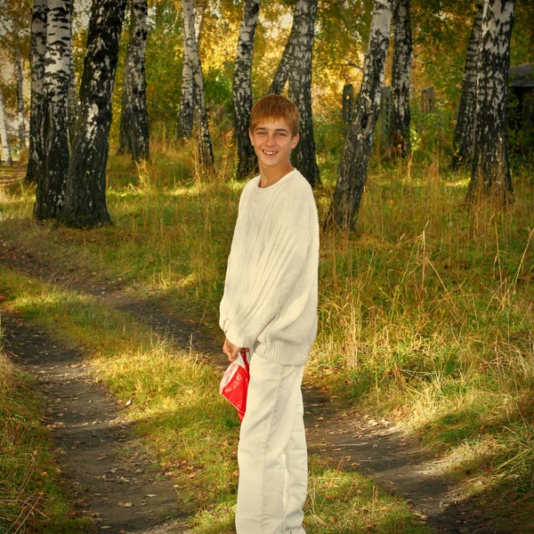 Teenager in the Autumn Park — Stock Photo, Image