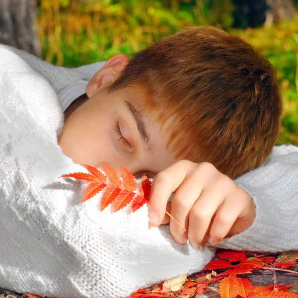 Junge schläft im Freien — Stockfoto