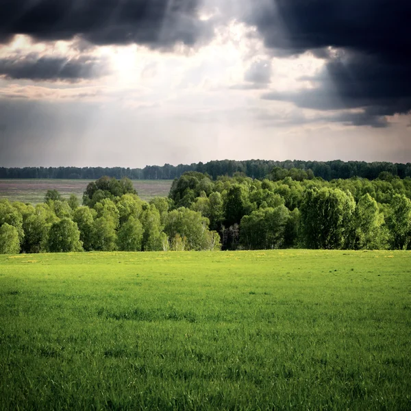 Summer Landscape — Stock Photo, Image