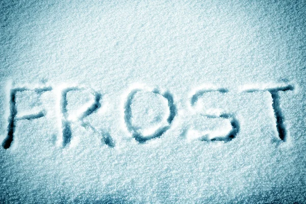 Frost on the Snow — Stock Photo, Image