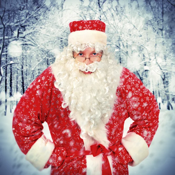 ซานตาคลอสในป่าฤดูหนาว — ภาพถ่ายสต็อก