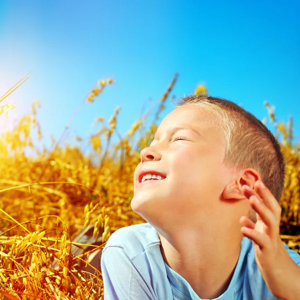 Kind auf dem Feld — Stockfoto