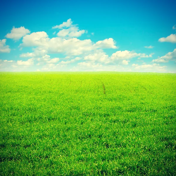 Zomer landschap Stockfoto