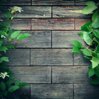 Ahşap arka plan açık