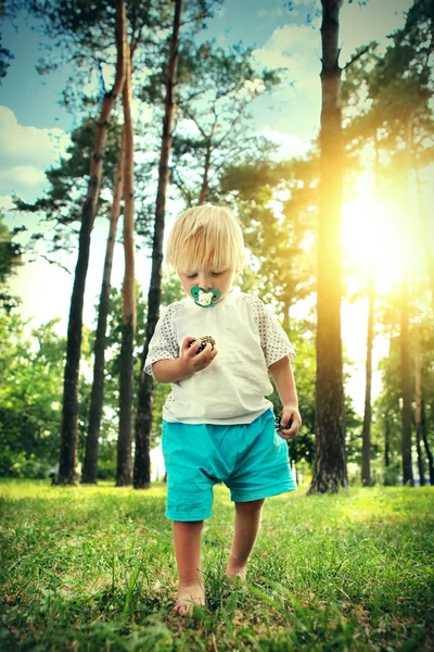 Kind wandelen in het woud — Stockfoto