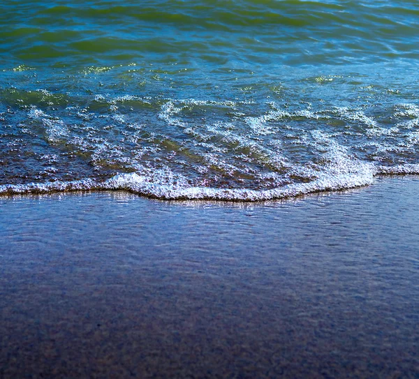 Seashore — Stock Photo, Image