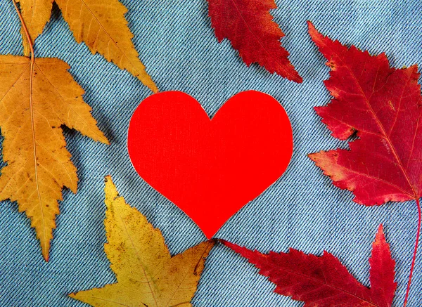 Autumnal Leaves and Heart — Zdjęcie stockowe