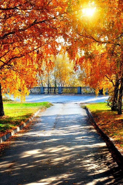 Parque de otoño —  Fotos de Stock