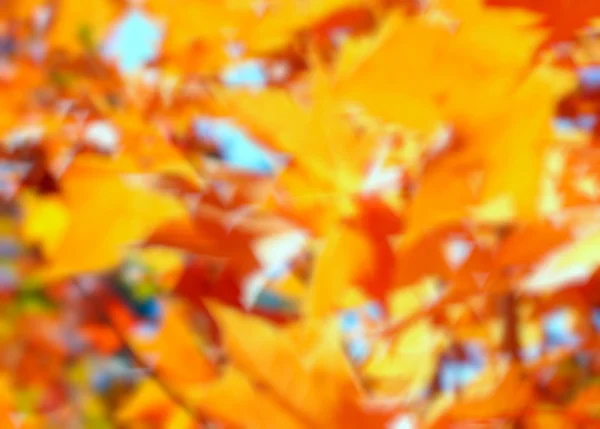 Blurred Autumn Background — Stock Photo, Image