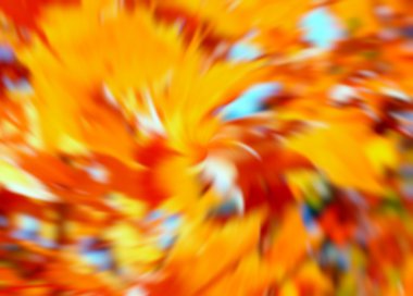 Bulanık sonbahar yaprakları