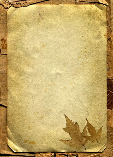Papper med höstens löv — Stockfoto