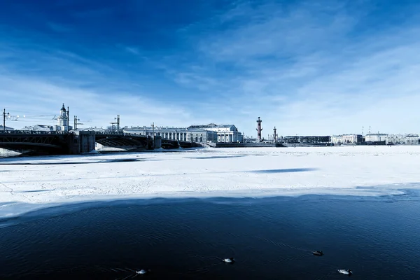 Szentpétervár táj — Stock Fotó