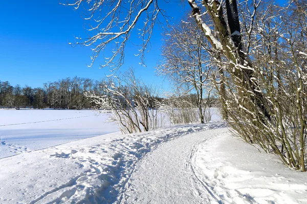 Winterlandschap Zonnige Dag — Stockfoto