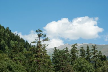 Arkhyz 'de büyük Kafkaslar