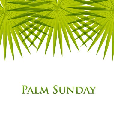 Palm vektör arka plan yapraklar. Vektör çizim için Hıristiyan tatil palmiye pazarı.