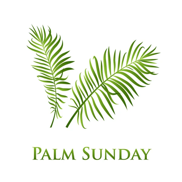 Palmblätter-Vektorsymbol. Vektorillustration für den christlichen Feiertag Palmsonntag. — Stockvektor