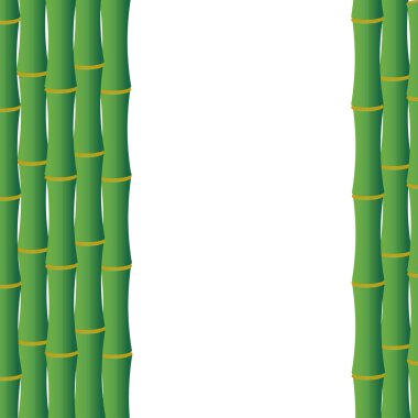 Bambu saplı yeşil arka plan 