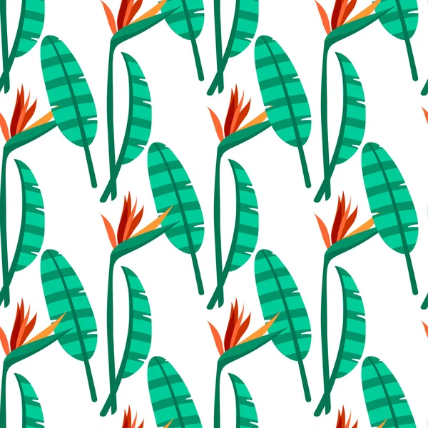 파라다이스 꽃 완벽 한 패턴의 벡터 새. — 스톡 벡터
