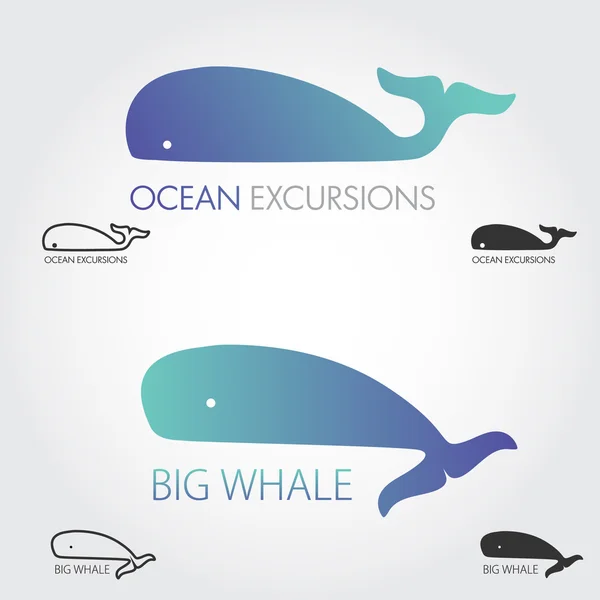 Blue Whale logo ditetapkan. Konsep logo ikan. Ikon atau logotype sederhana . - Stok Vektor